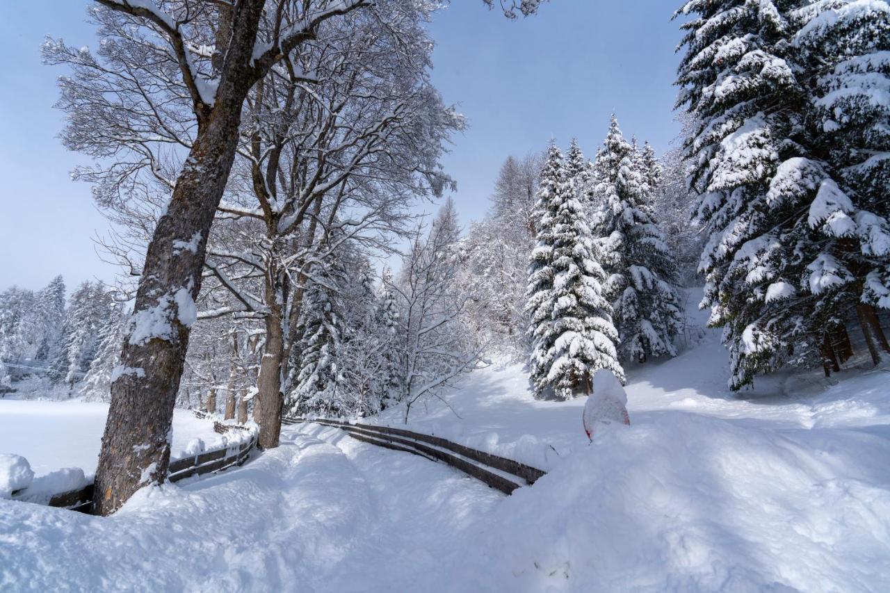 Chalet Traumblick Mauterndorf  Esterno foto