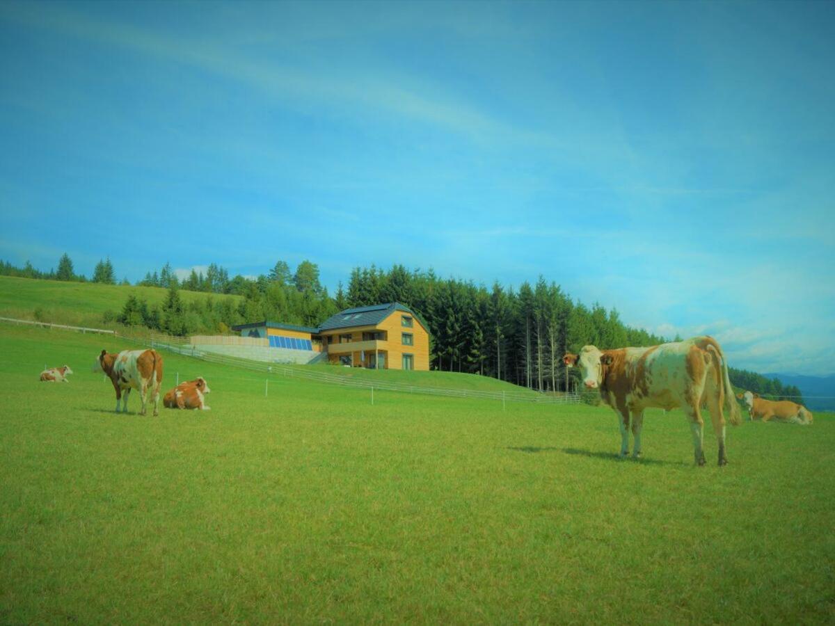 Chalet Traumblick Mauterndorf  Esterno foto
